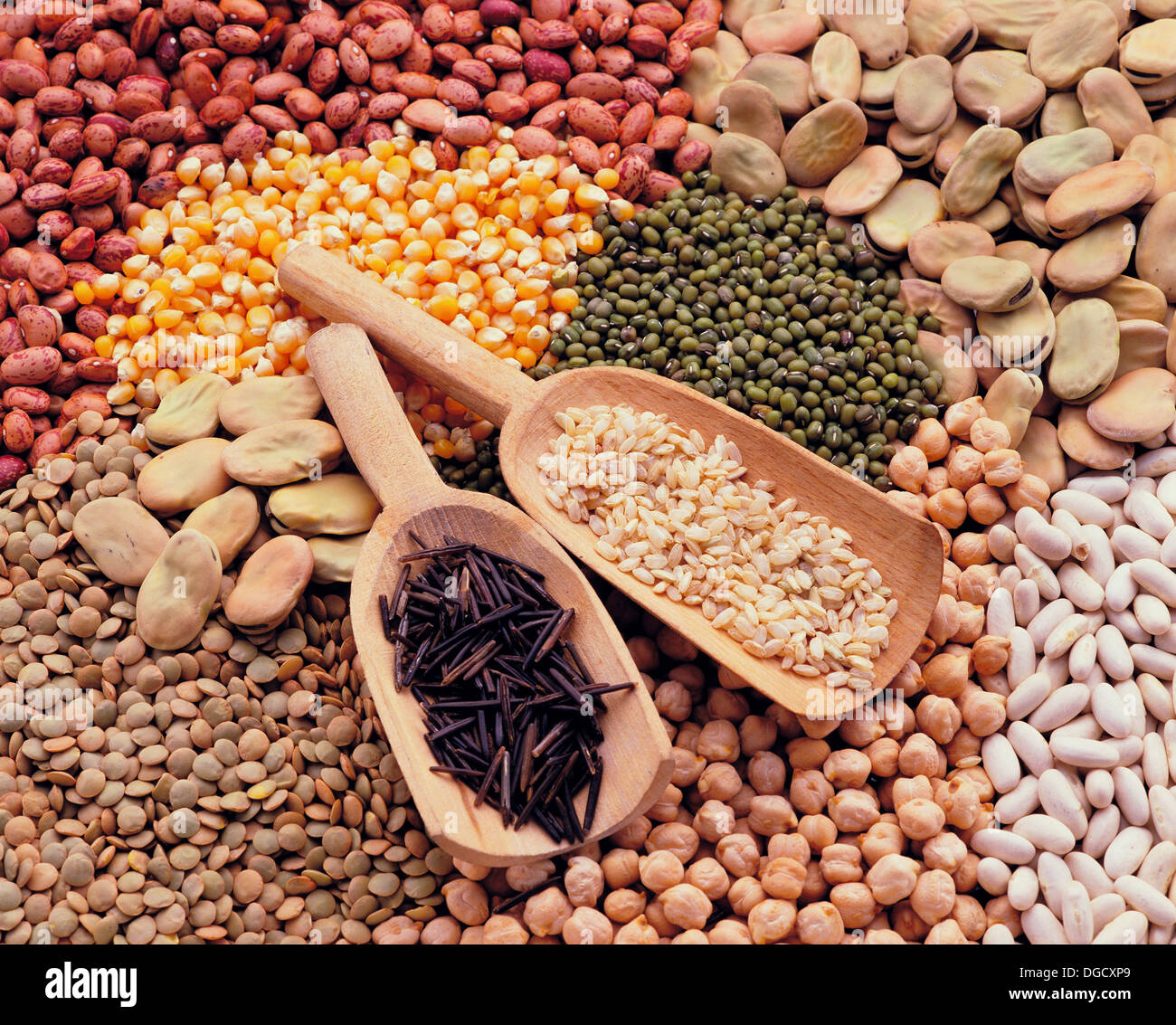 Legumes and grain Stock Photo Alamy
