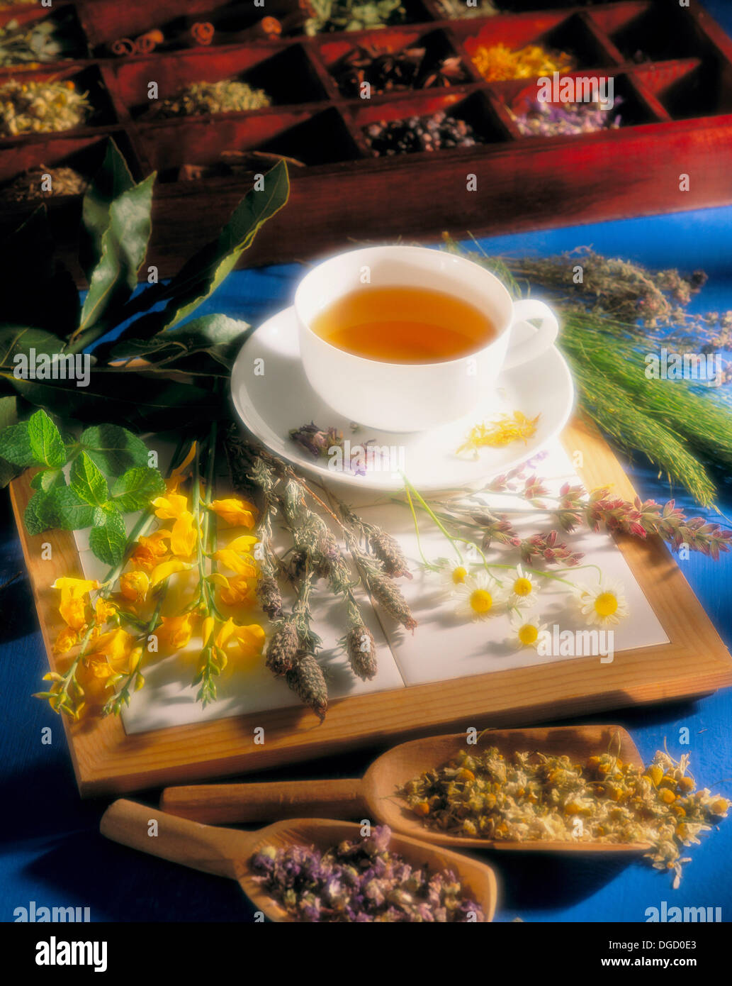 Herbal tea, infusion Stock Photo Alamy