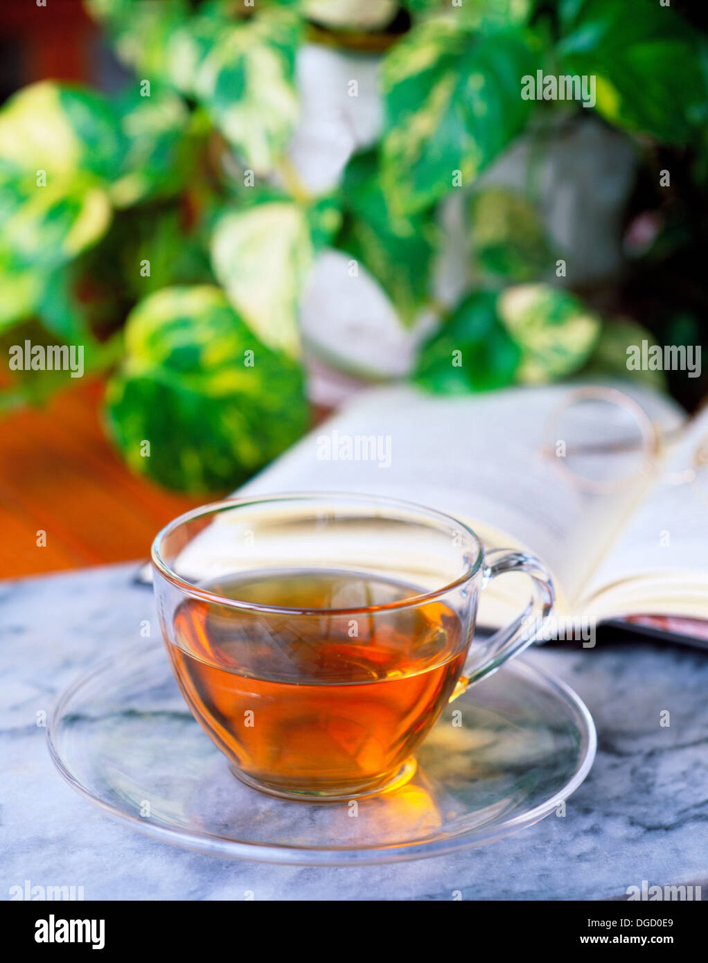 Herbal tea, infusion Stock Photo Alamy