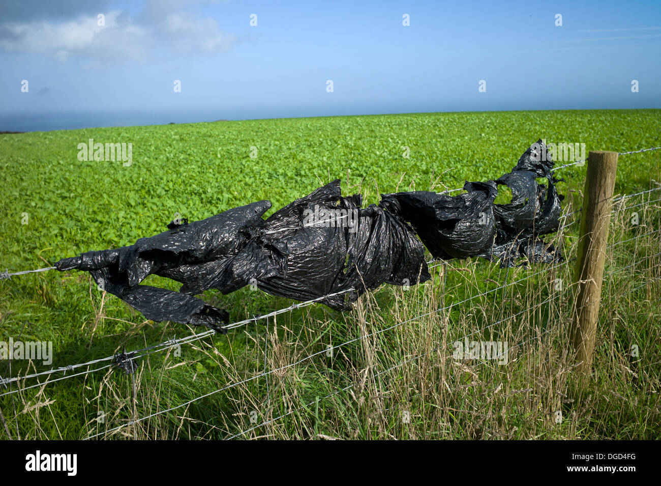 Black plastic on fence, Devon, UK Stock Photo