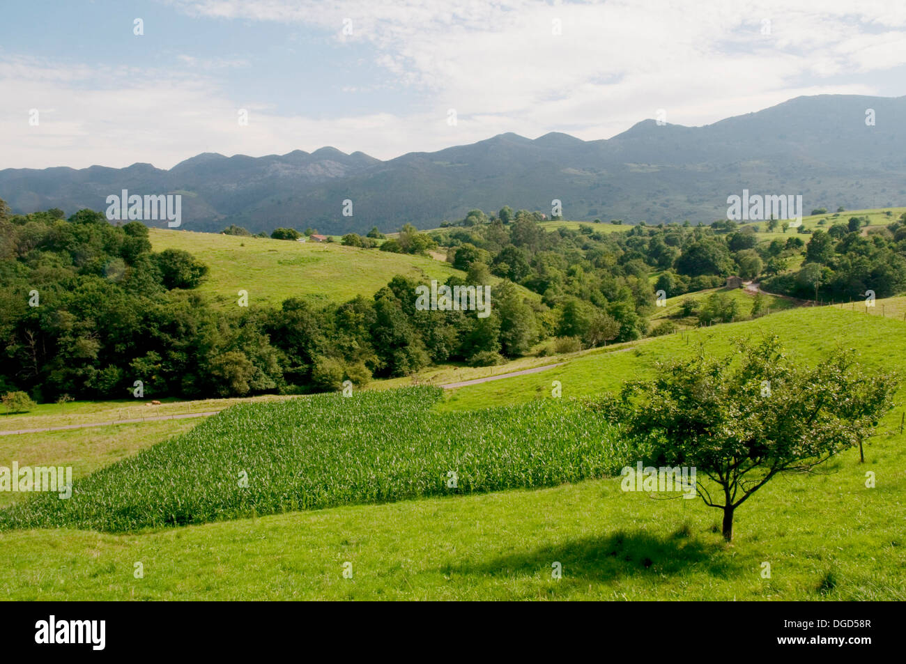 Oscuro Valley and Sierra del Cuera. Asturias province, Spain. Stock Photo