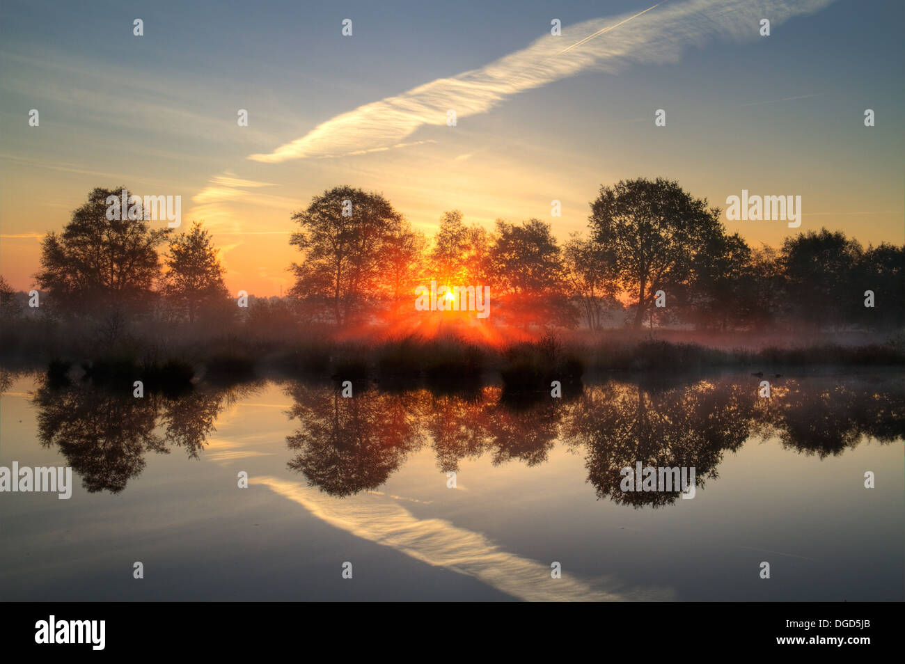 Sunrise above a lake; tree silhouettes in the background Stock Photo
