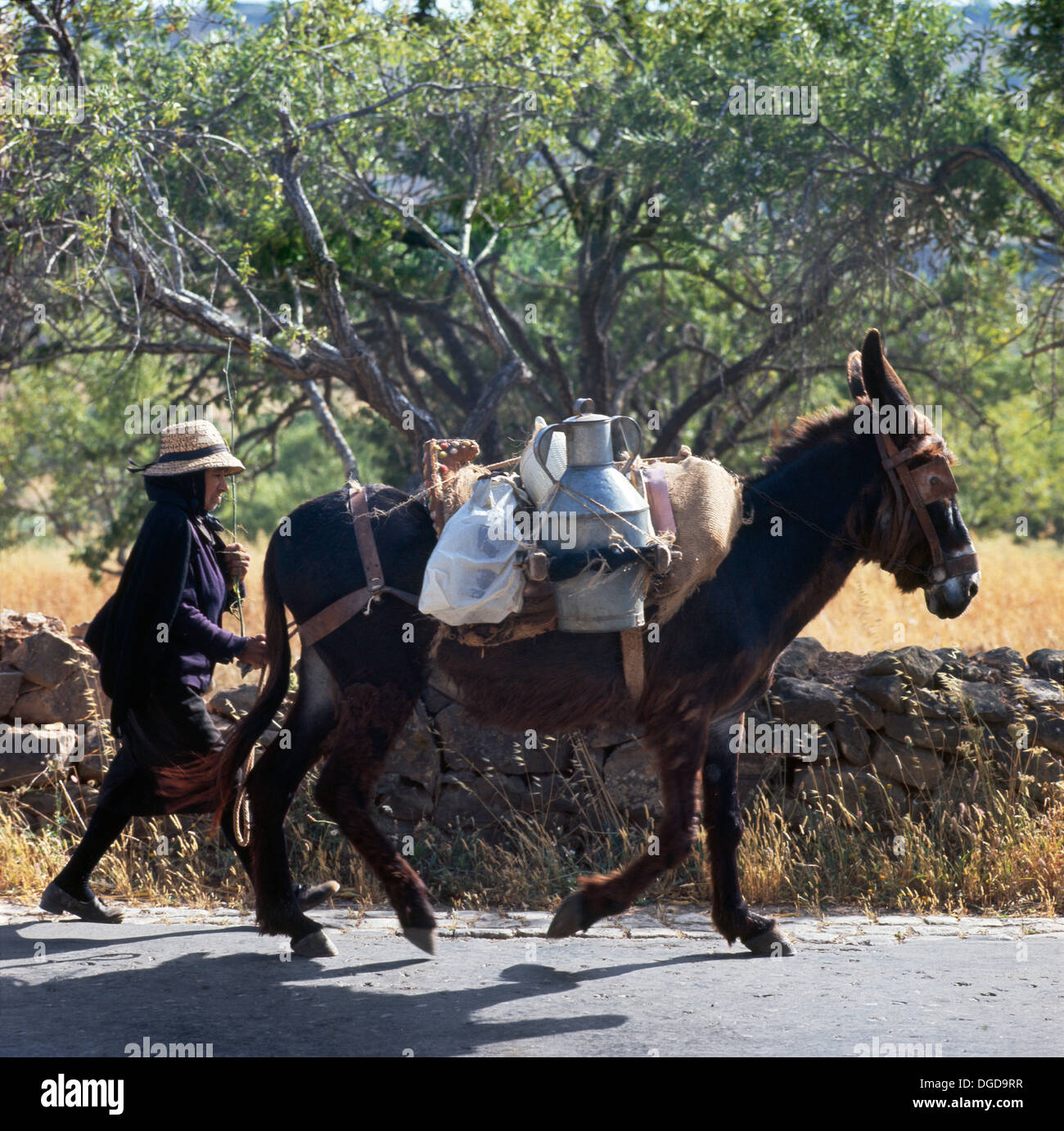 Portugal algarve mule woman hi-res stock photography and images - Alamy