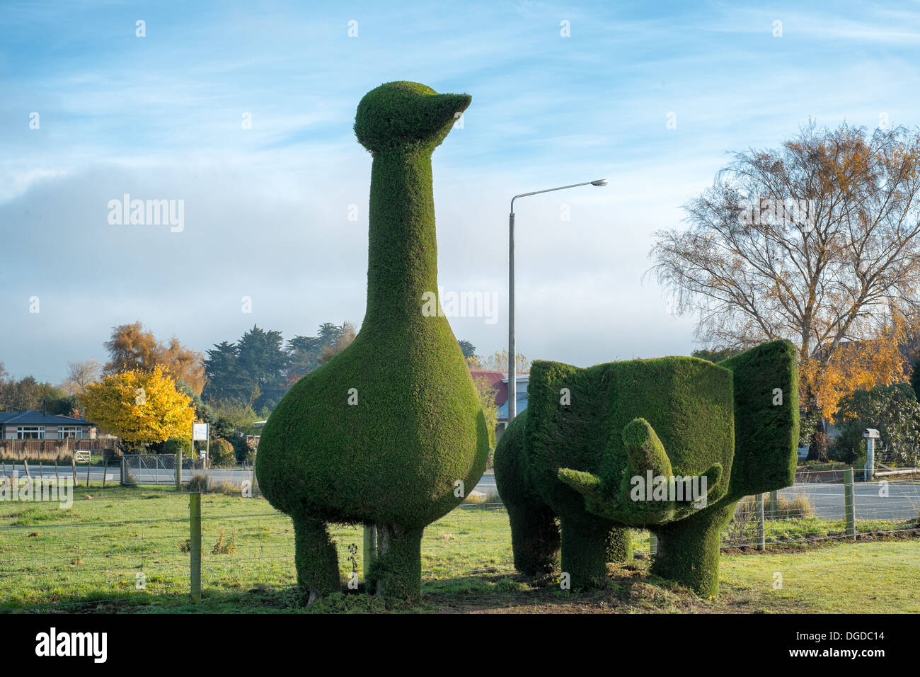 New Zealand extreme gardening Stock Photo
