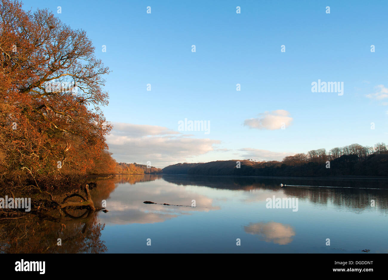 Early Autumn morning on the Tresillian River near Truro in Cornwall, UK Stock Photo