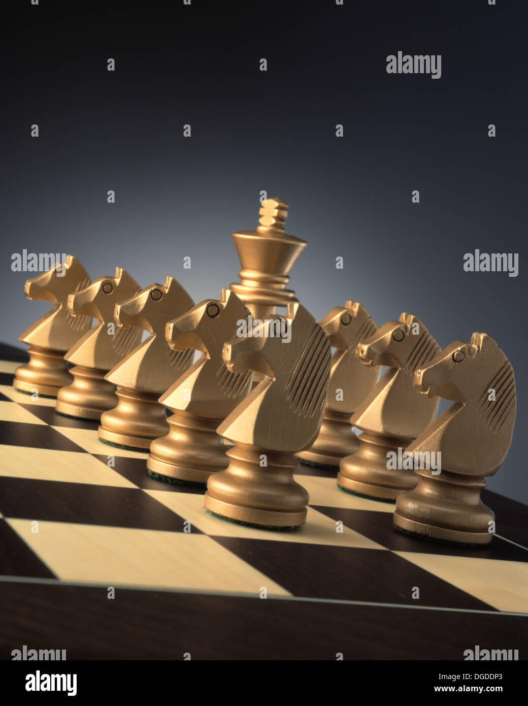 Knight Chess Set Stock Photo