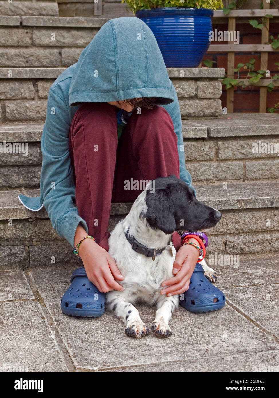 boy with dog Stock Photo