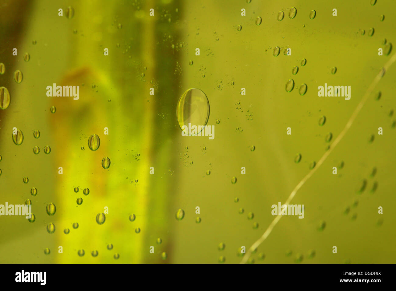 Green abstract blurred liquid background with soap bubbles Stock Photo ...