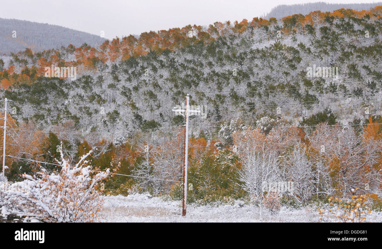 Telephone Lines Down in the Rockies Stock Photo Alamy