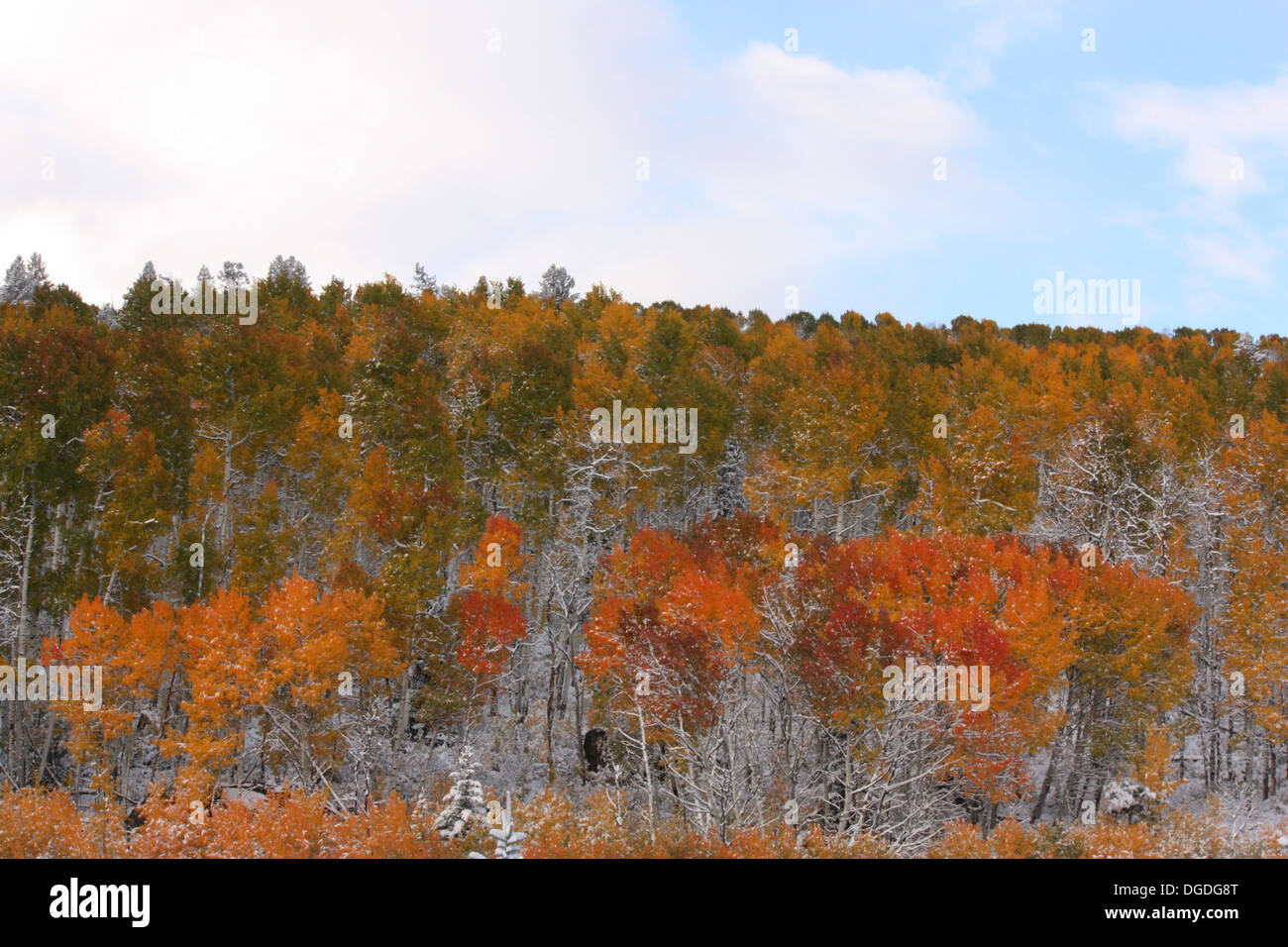Autumn in the Rocky Mountains Stock Photo