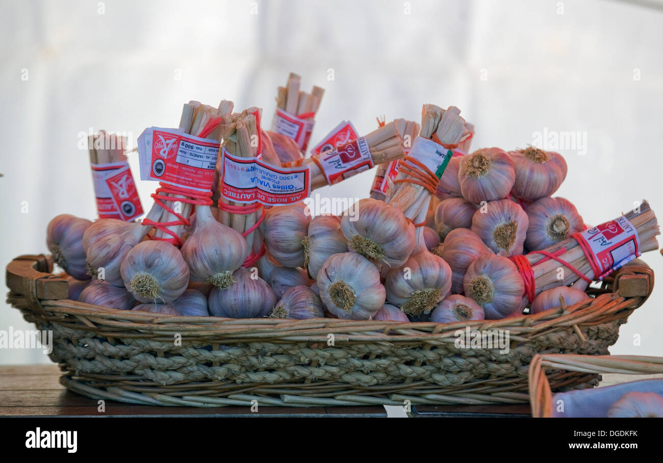 Allium sativum Garlic Bulbs Cloves in a wicker Basket in a French