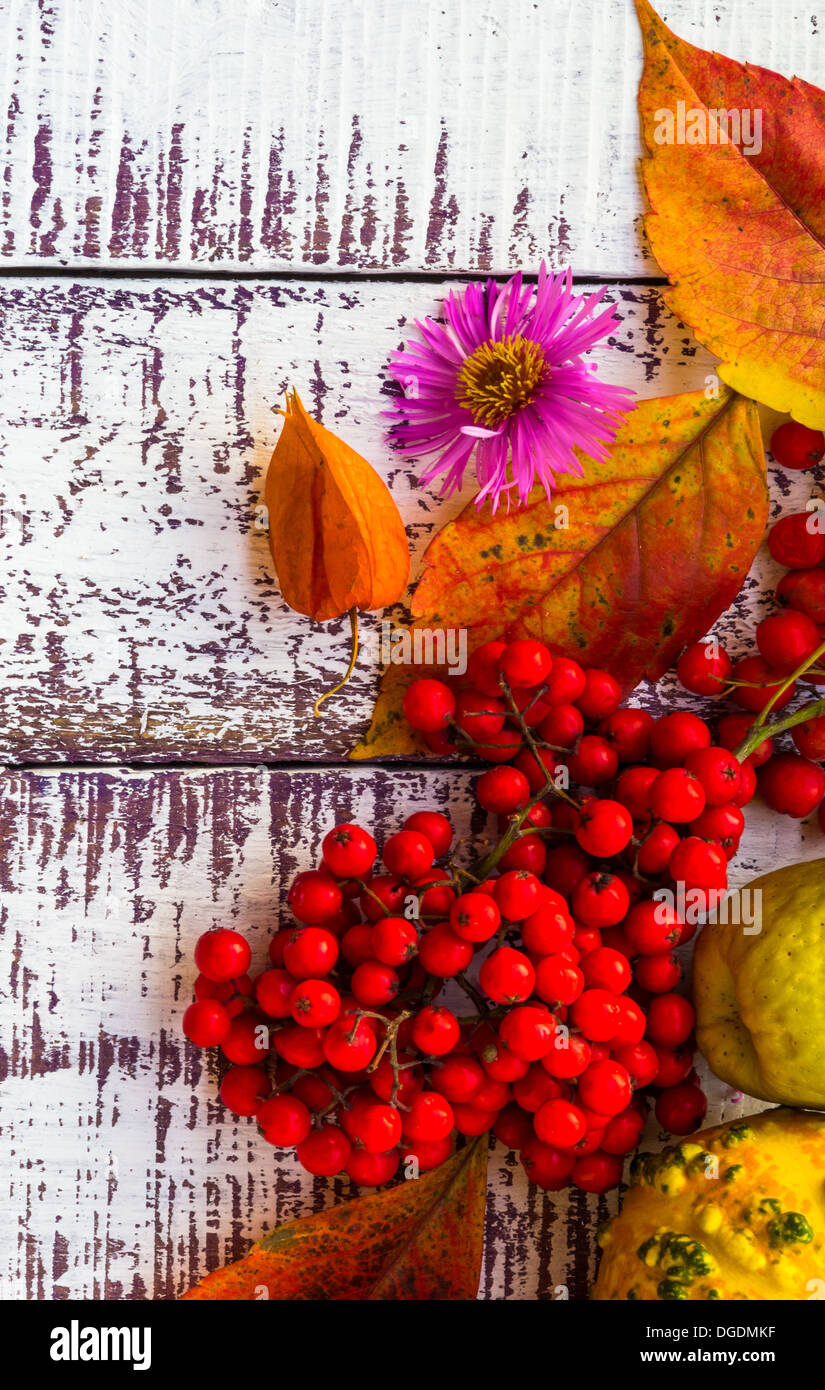 Autumn setting on the wooden table with fruits and vegetables Stock ...
