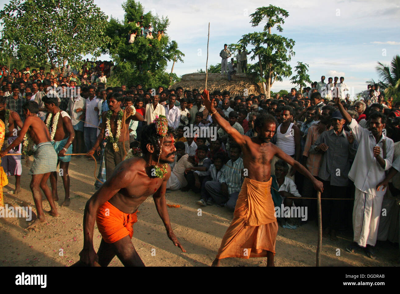 People gather to see a bull sacrificed in a religious ritual in Tamil ...