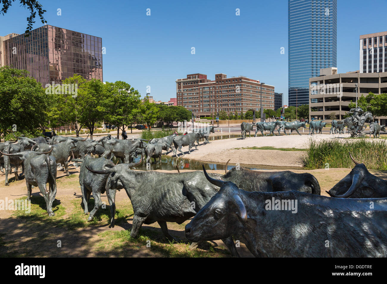 Bronze sculptures Cattle Drive Pioneer Plaza Dallas Texas USA Stock Photo