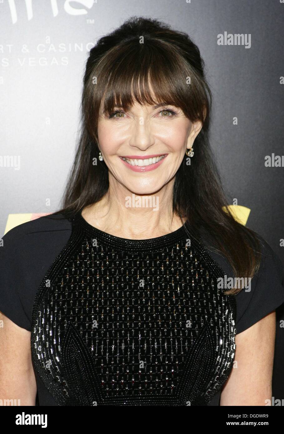 Las Vegas, NV, USA. 18th Oct, 2013. Mary Steenburgen at the after-party ...