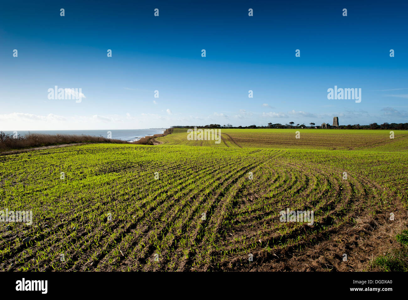 Agriculture land degradation hires stock photography and images Alamy