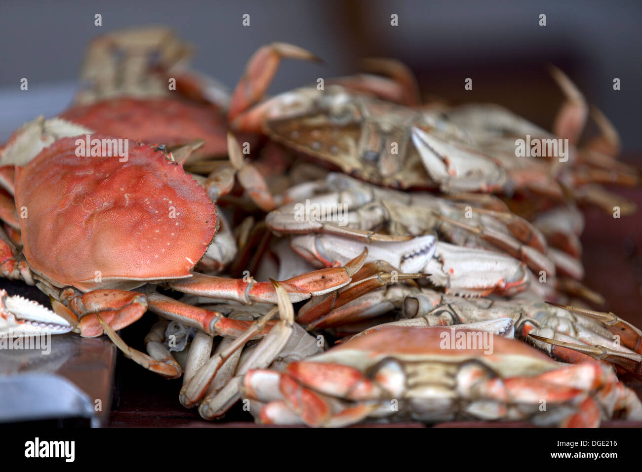 Dungeness crab cooked and ready to eat at Fisherman's Wharf, San