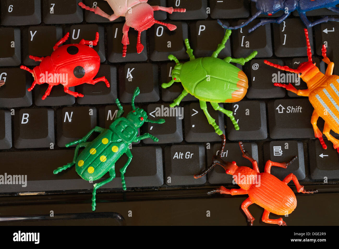 computer bugs on keyboard - concept of computer bug, computer virus infection Stock Photo