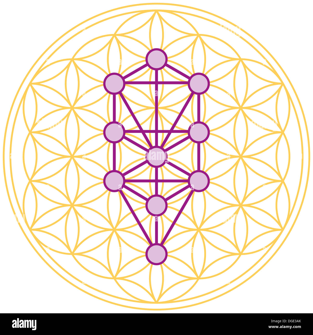 Tree Of Life Fits Perfect In The Flower Of Life Stock Photo