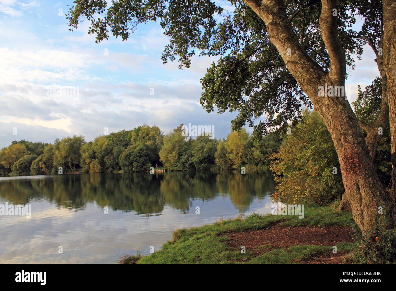 Witney Lake, Oxfordshire, England, UK Stock Photo Alamy