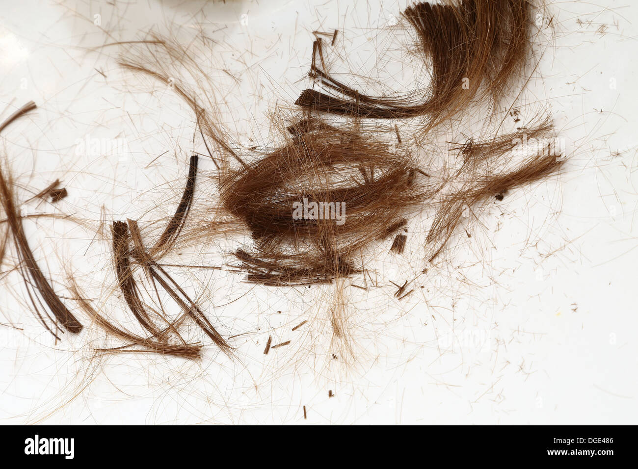Hair Trim Cut Style Hi Res Stock Photography And Images Alamy Hair Trim Cut Style Hi Res Stock Photography And Images Alamy