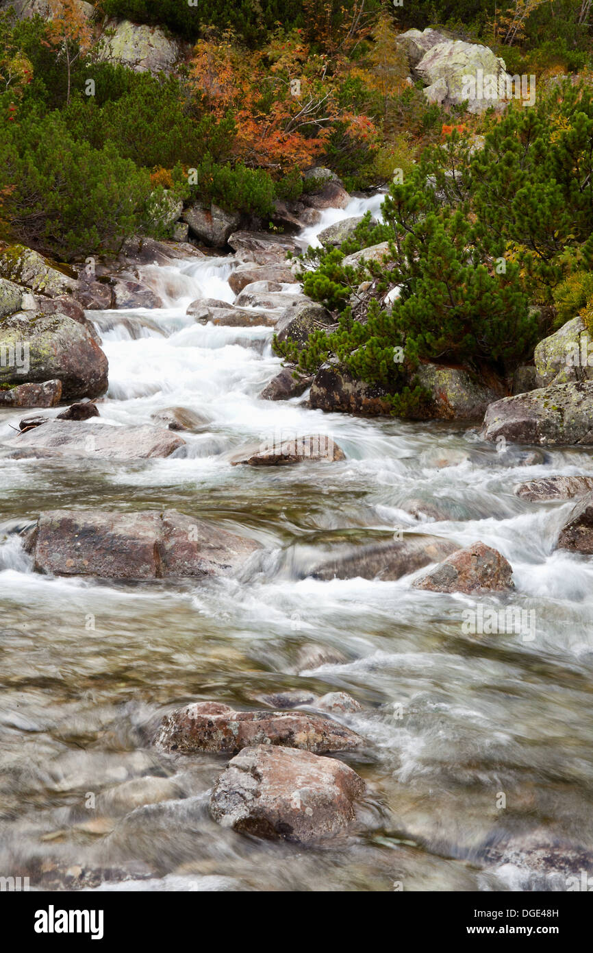 mountain river or swift stream in fall Stock Photo