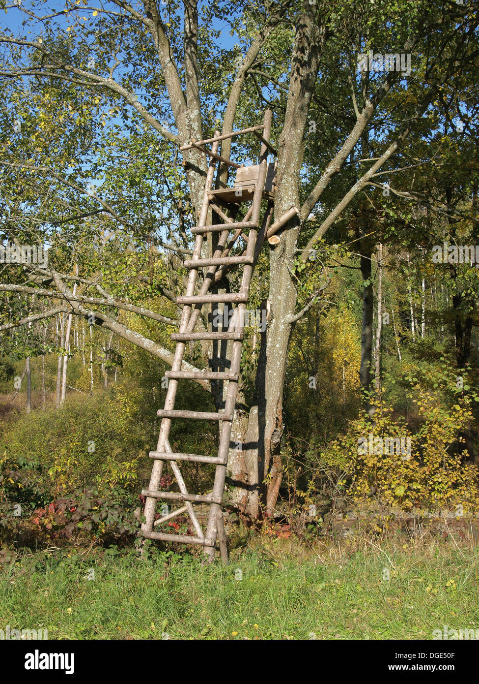 Field And Stream Ladder Tree Stands