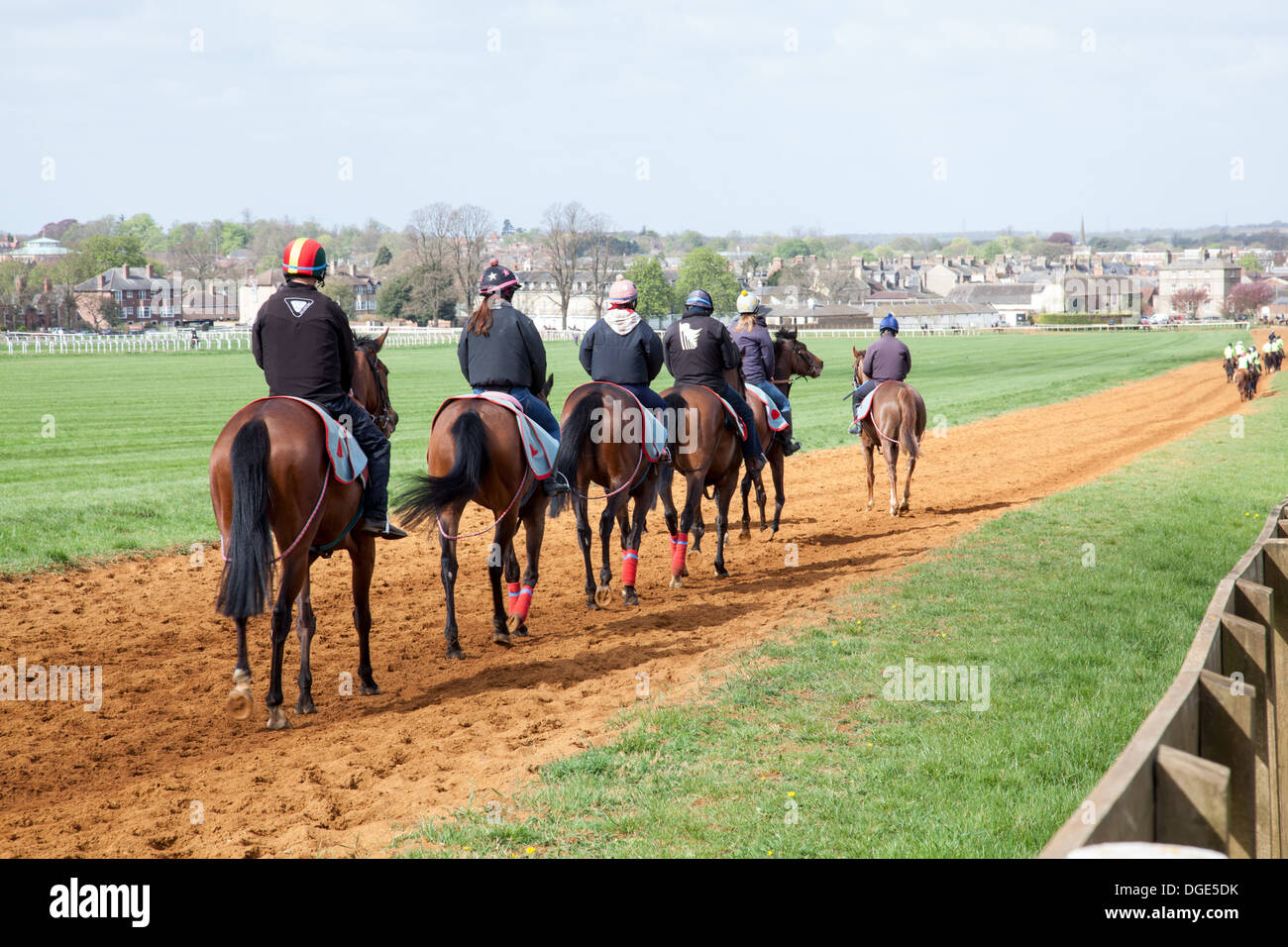 Newmarket Gallops,500 acres,Training Grounds, 50 miles of turf gallops, 14 miles of artificial tracks. Use daily by 3000 horses. Jockey Club Estates. Stock Photo
