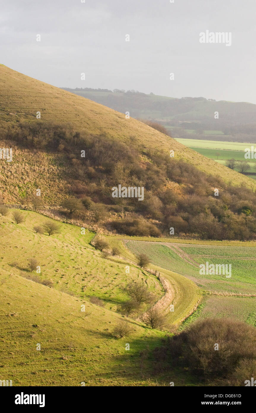 Marlborough Downs undulating chalk hills in the Vale of Pewsey South West England United Kingdom Stock Photo