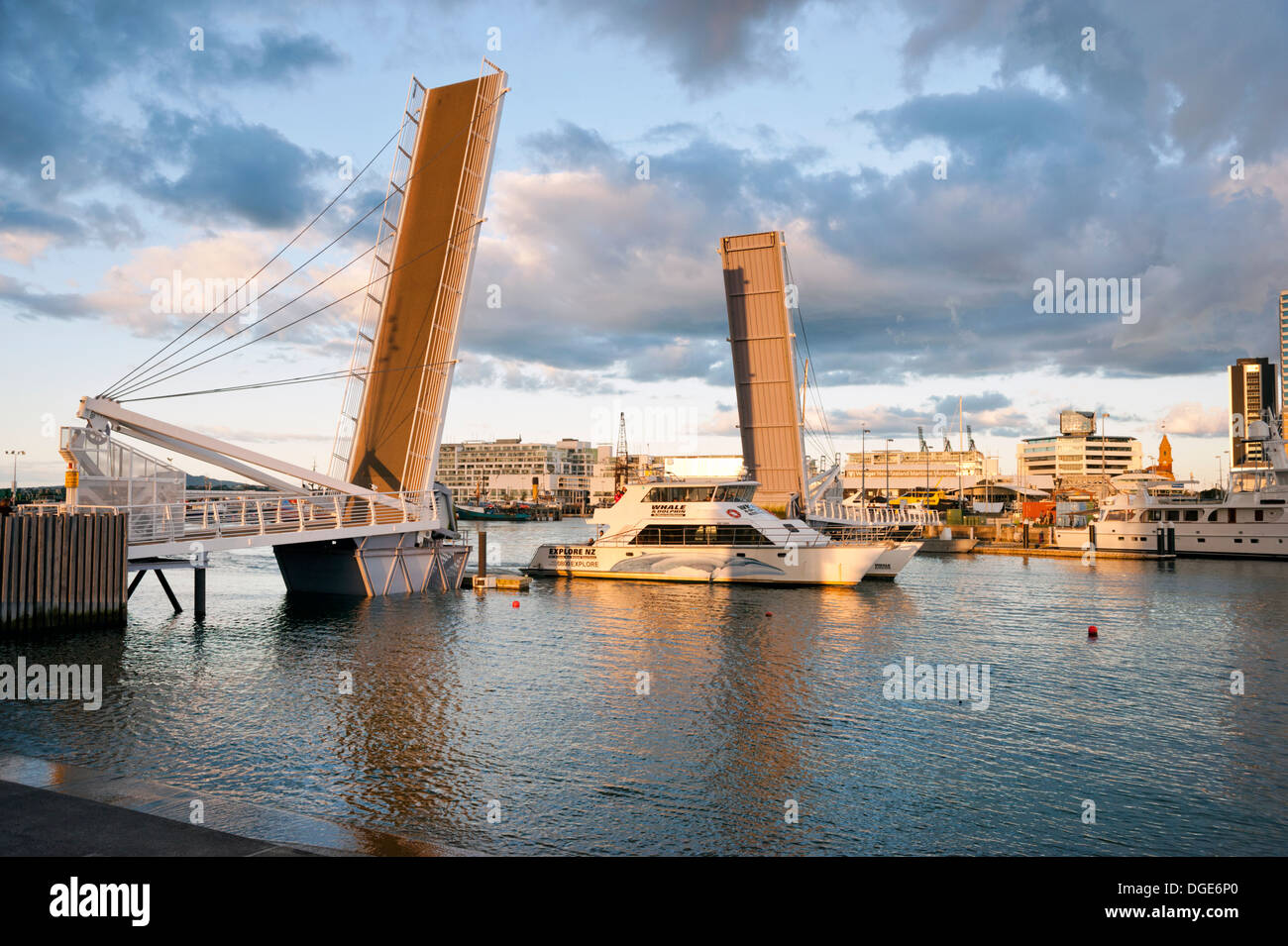Auckland waterfront, New Zealand. Bridge raised at Viaduct Harbour to