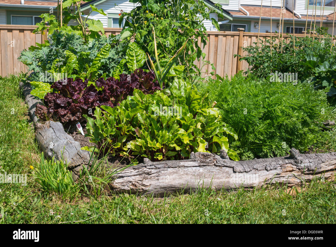 Community garden canada hires stock photography and images Alamy