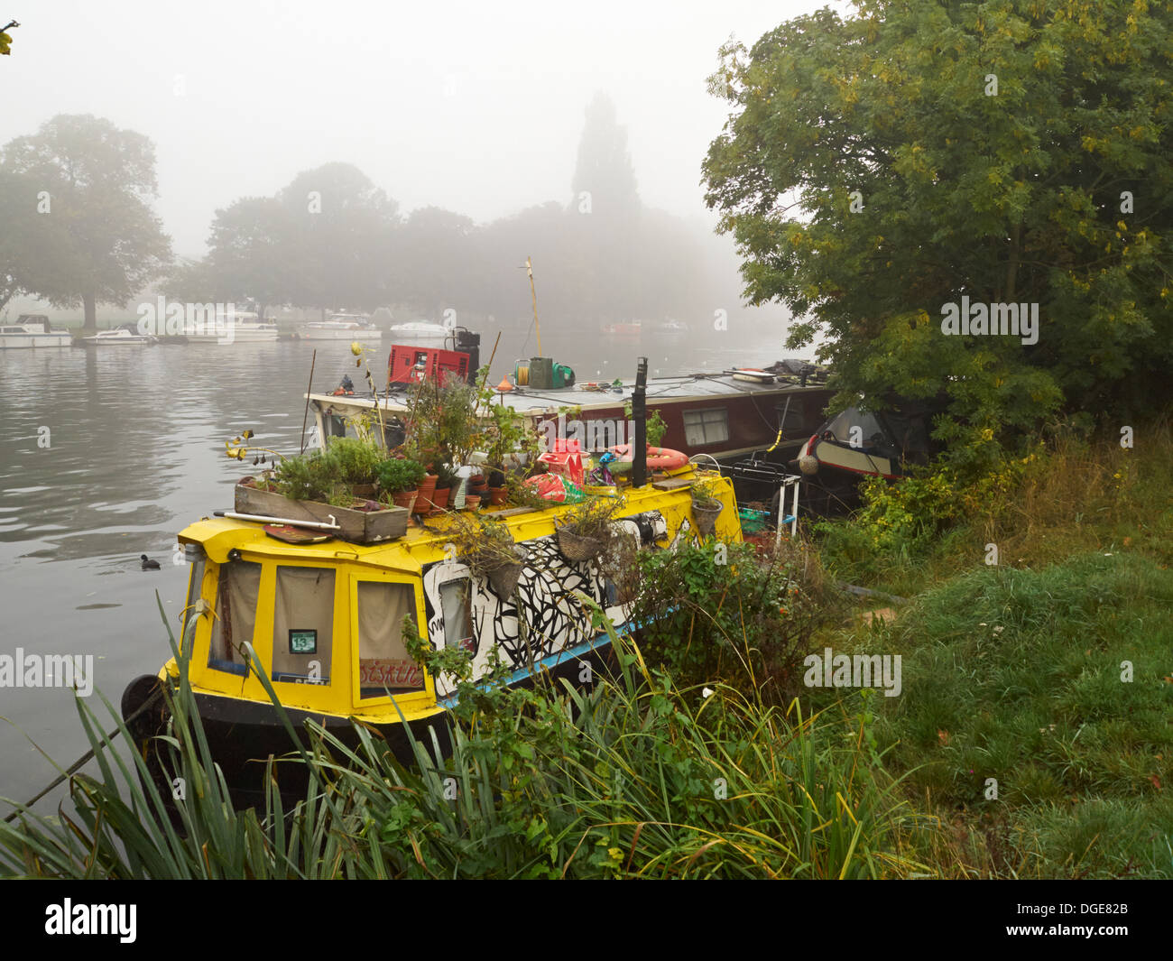 Narrowboats moored on the Thames near Kingston, England Stock Photo