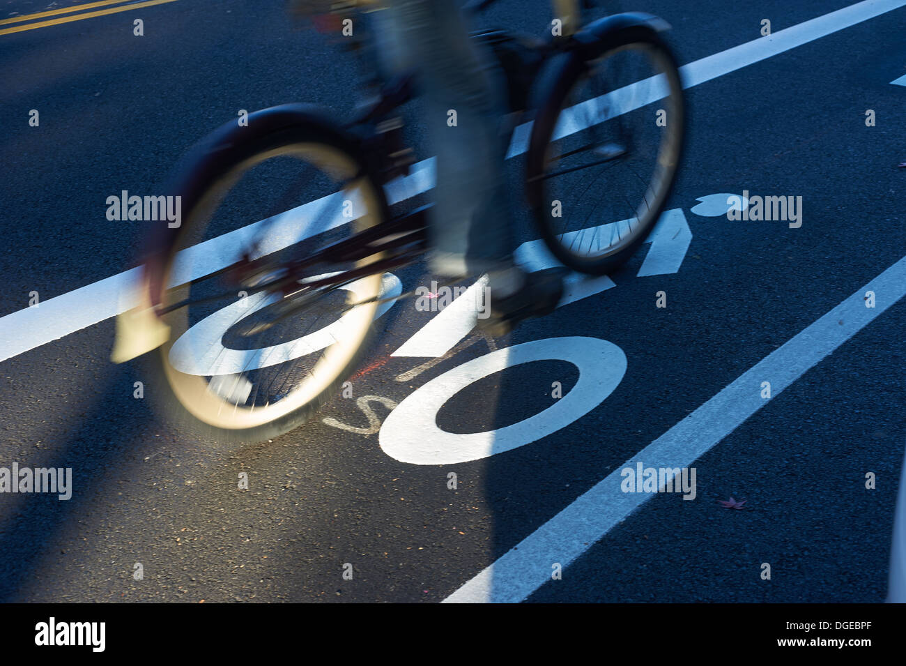 A bicyclist on a bike lane in downtown. Stock Photo