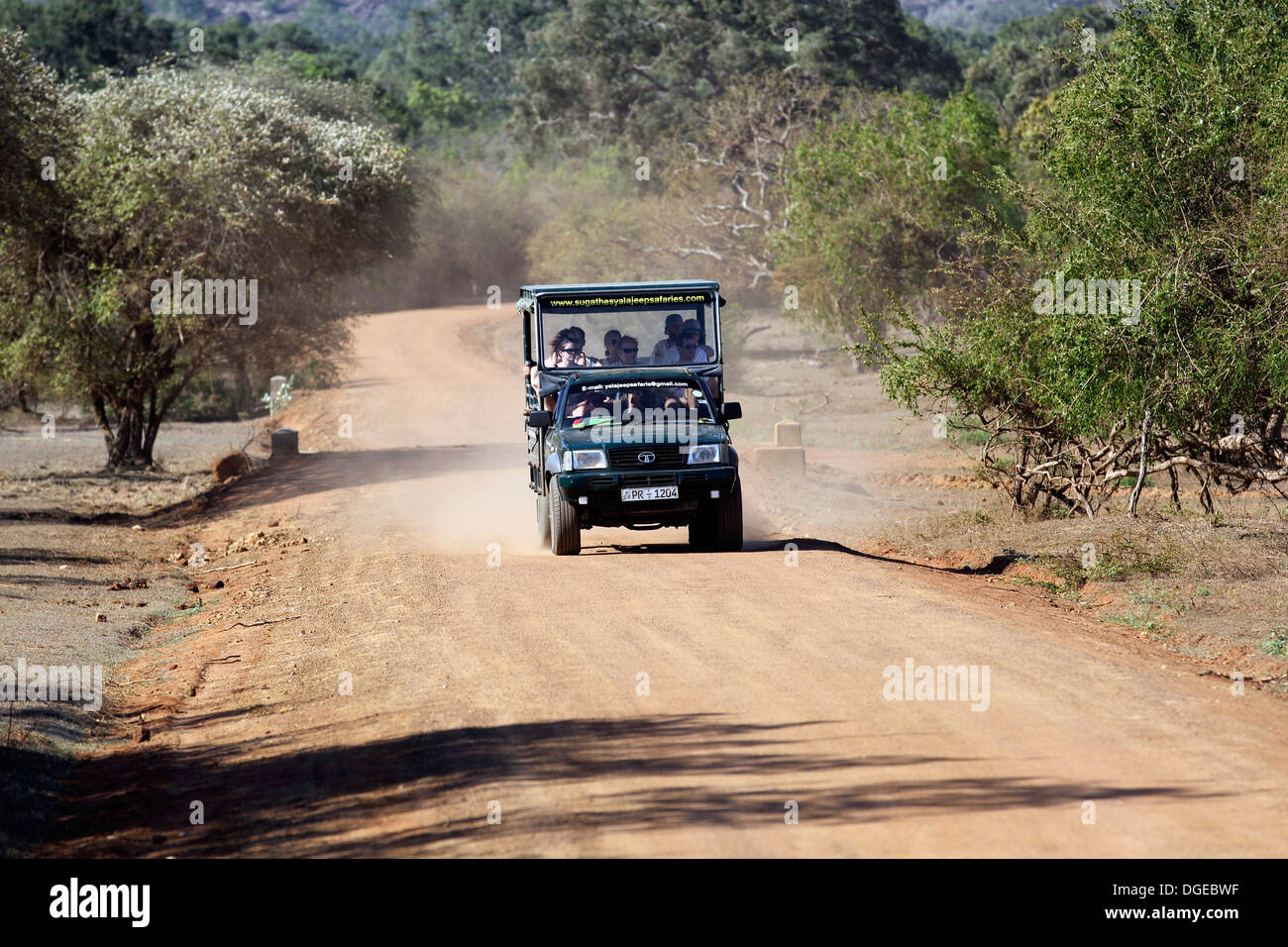 Wildlife safari jeep with tourists on board in Yala National Park, Sri Lanka Stock Photo