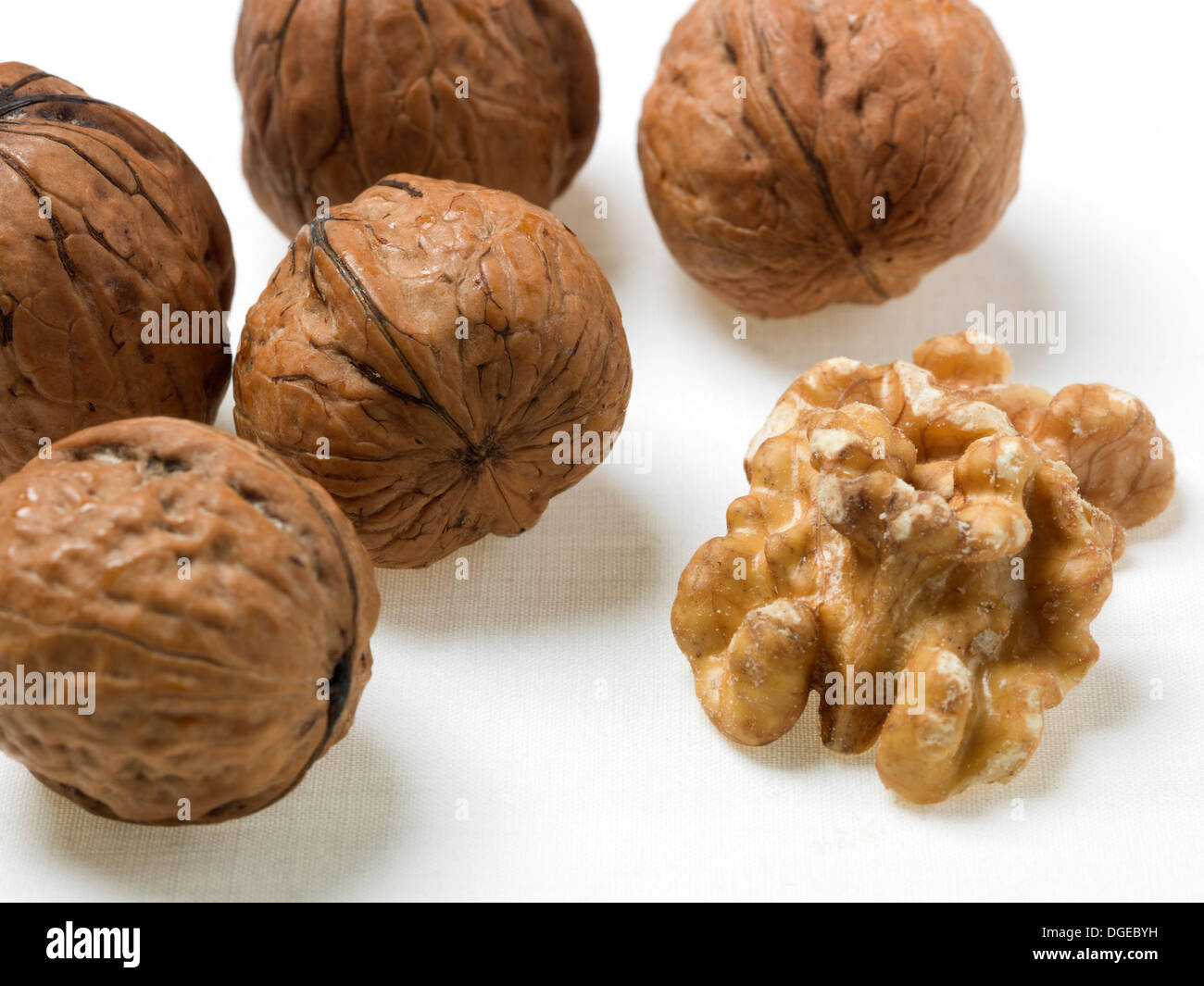 Walnut Walnuts Shell Shelled Stock Photo Alamy