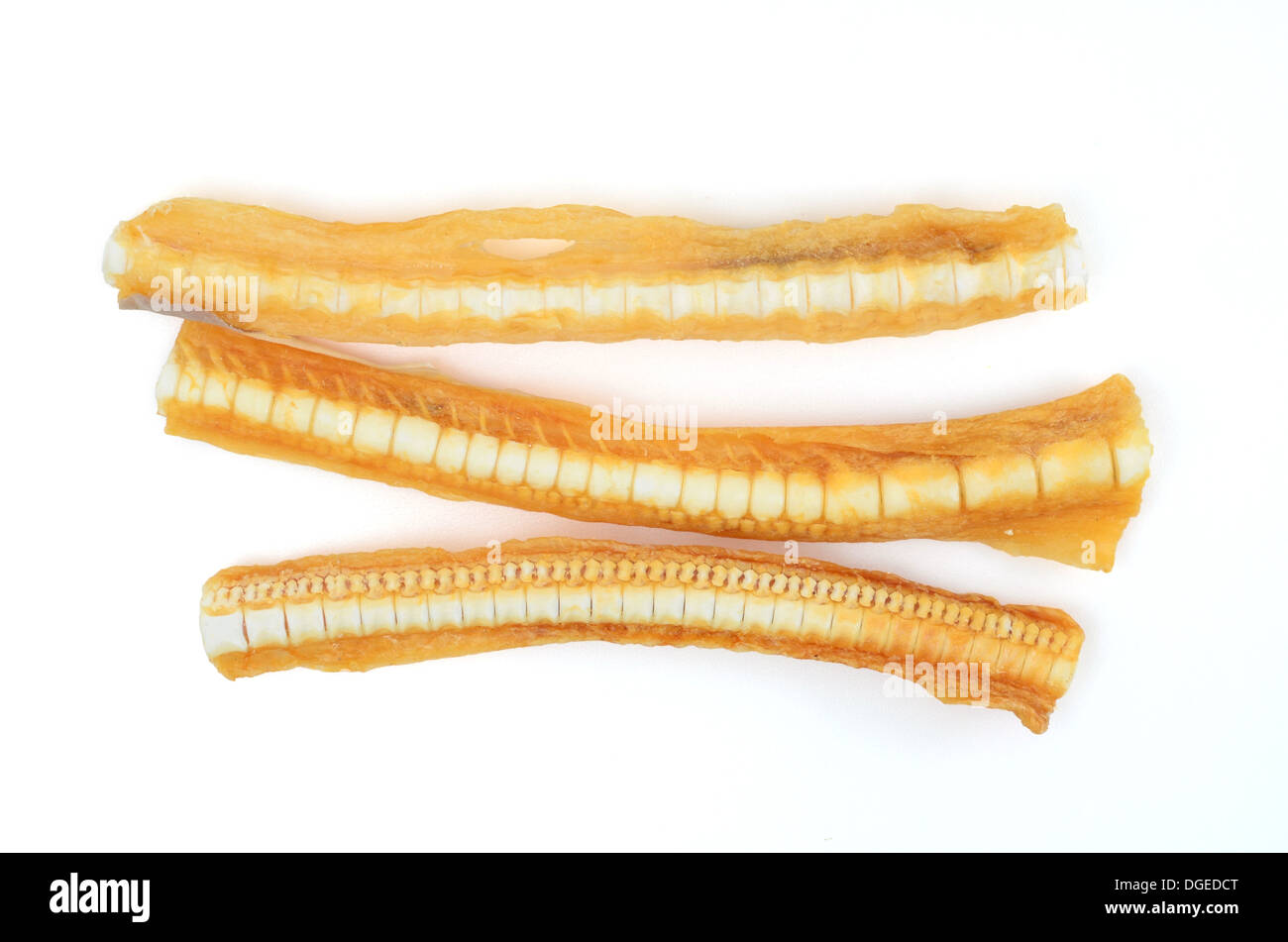 dog bone, fish bone Stock Photo Alamy