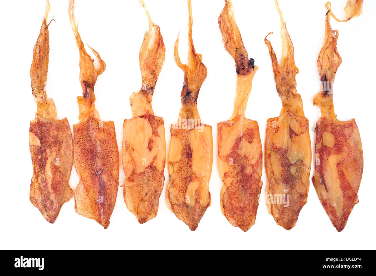 Dried Squid isolated on white Stock Photo Alamy