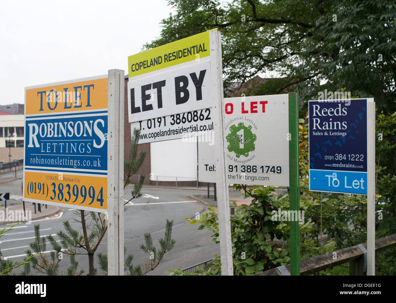 Four property To Let signs Durham, north east England, UK Stock Photo