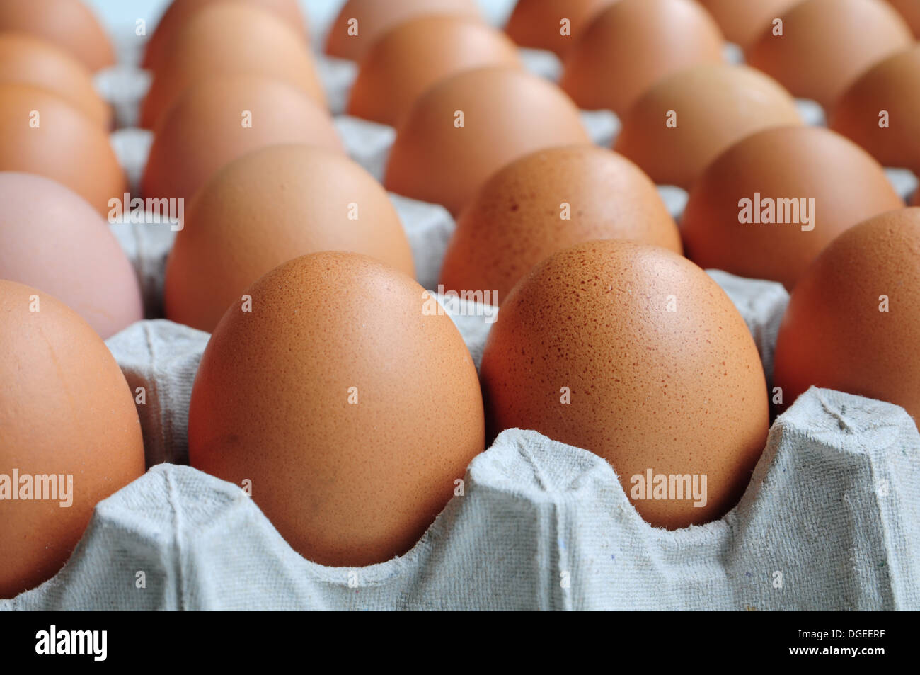 Eggs in Carton Stock Photo Alamy