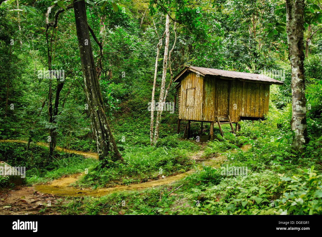 Wooden small house in a tropical forest. Thailand Stock Photo