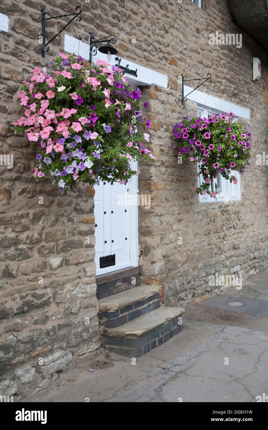 Petunias in hanging baskets on a cottage in Great Doddington. Northamptonshire Stock Photo