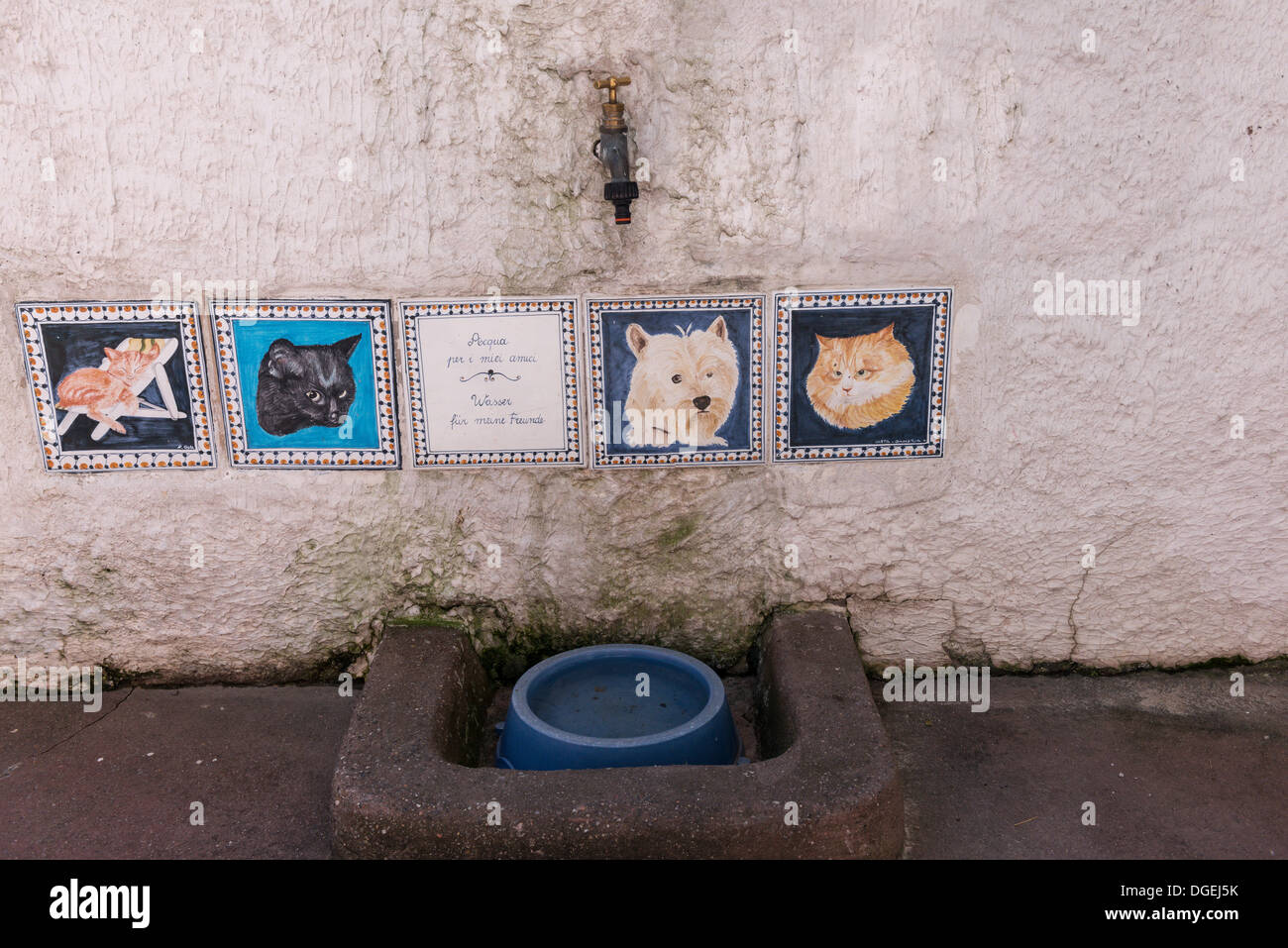 Dog and cat watering bowl and tiles at The Boutique hotel 'Elevzia al Lago'. Lugano. Switzerland Stock Photo