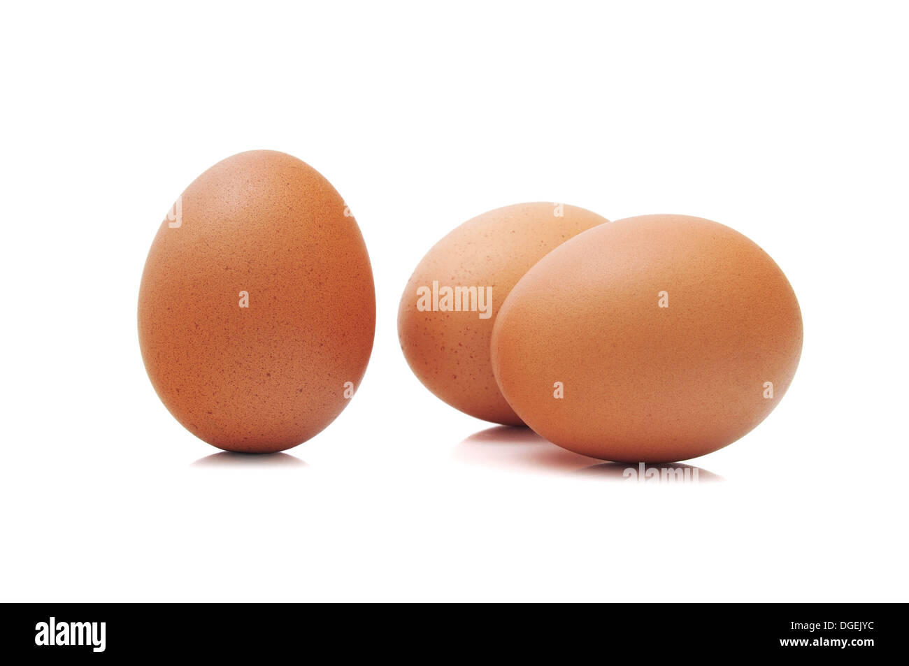 Eggs Stock Photo
