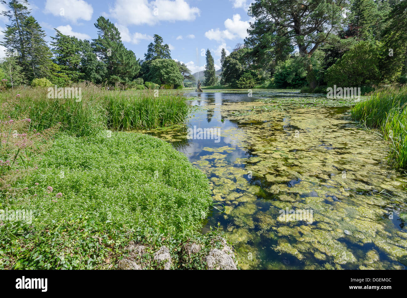 Powerscourt house and gardens, wicklow, ireland Stock Photo Alamy