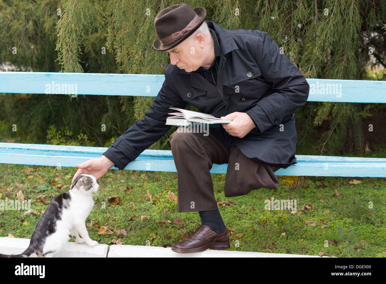 Elderly disabled man with one leg amputated sitting on a park bench with his book reaching down and stroking a cat Stock Photo