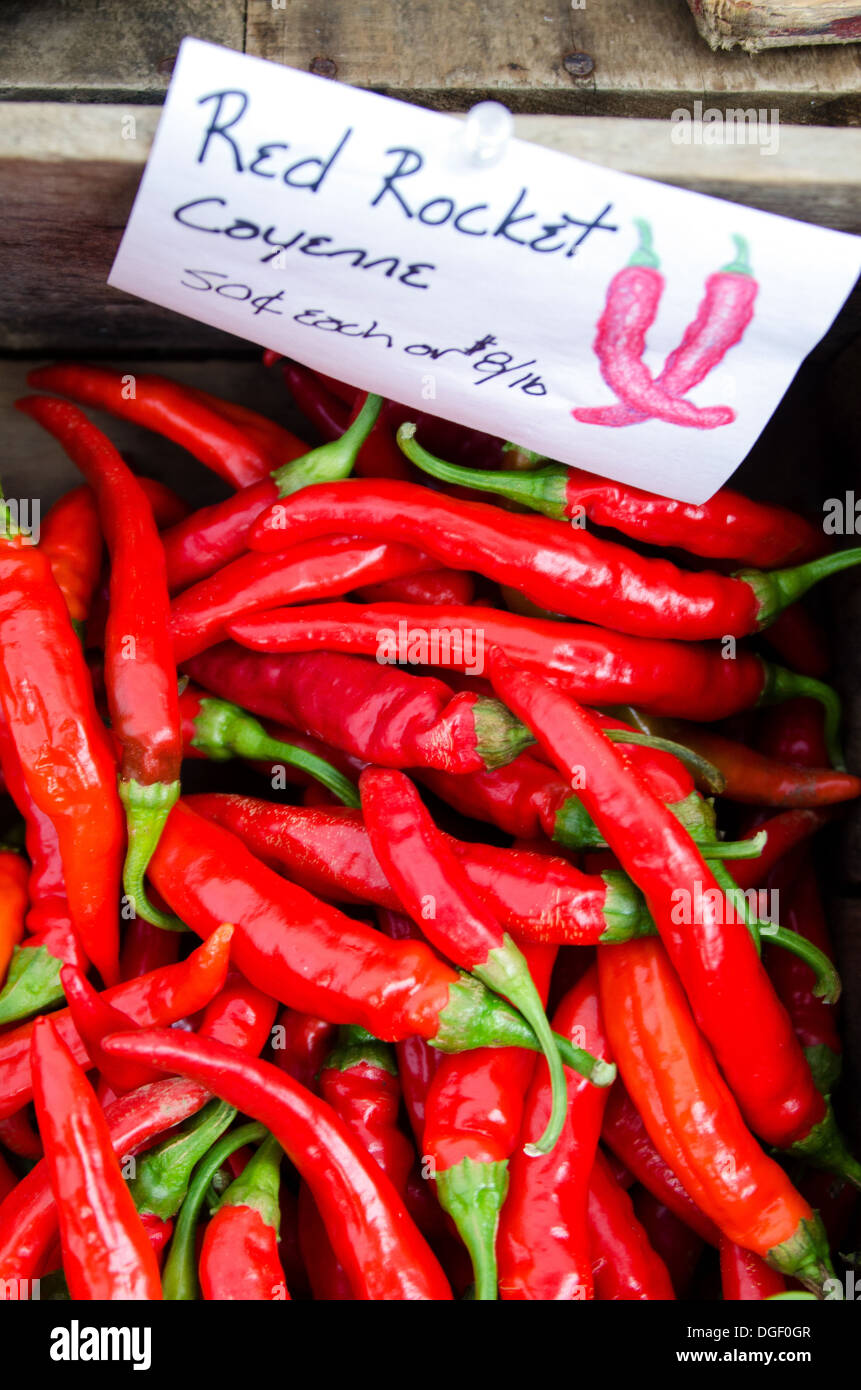 A crate of Red Rocket Cayenne peppers at the organic farmers' market. Stock Photo