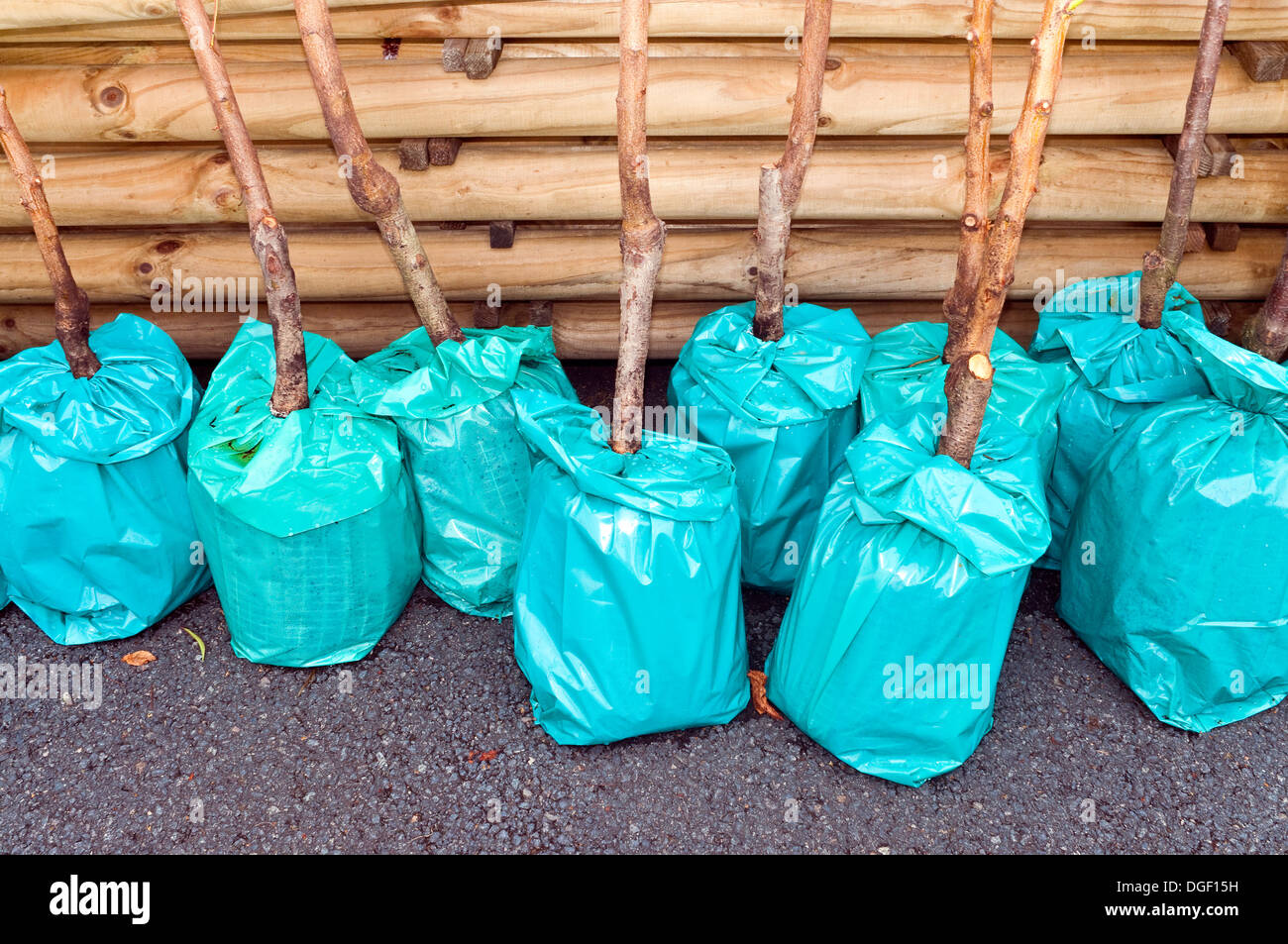 Protective plastic bag hires stock photography and images Alamy