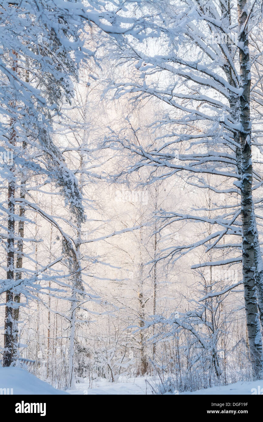 Winter seasonal landscape hi-res stock photography and images - Alamy