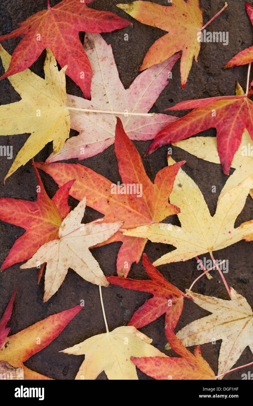 Paving patterns hires stock photography and images Alamy