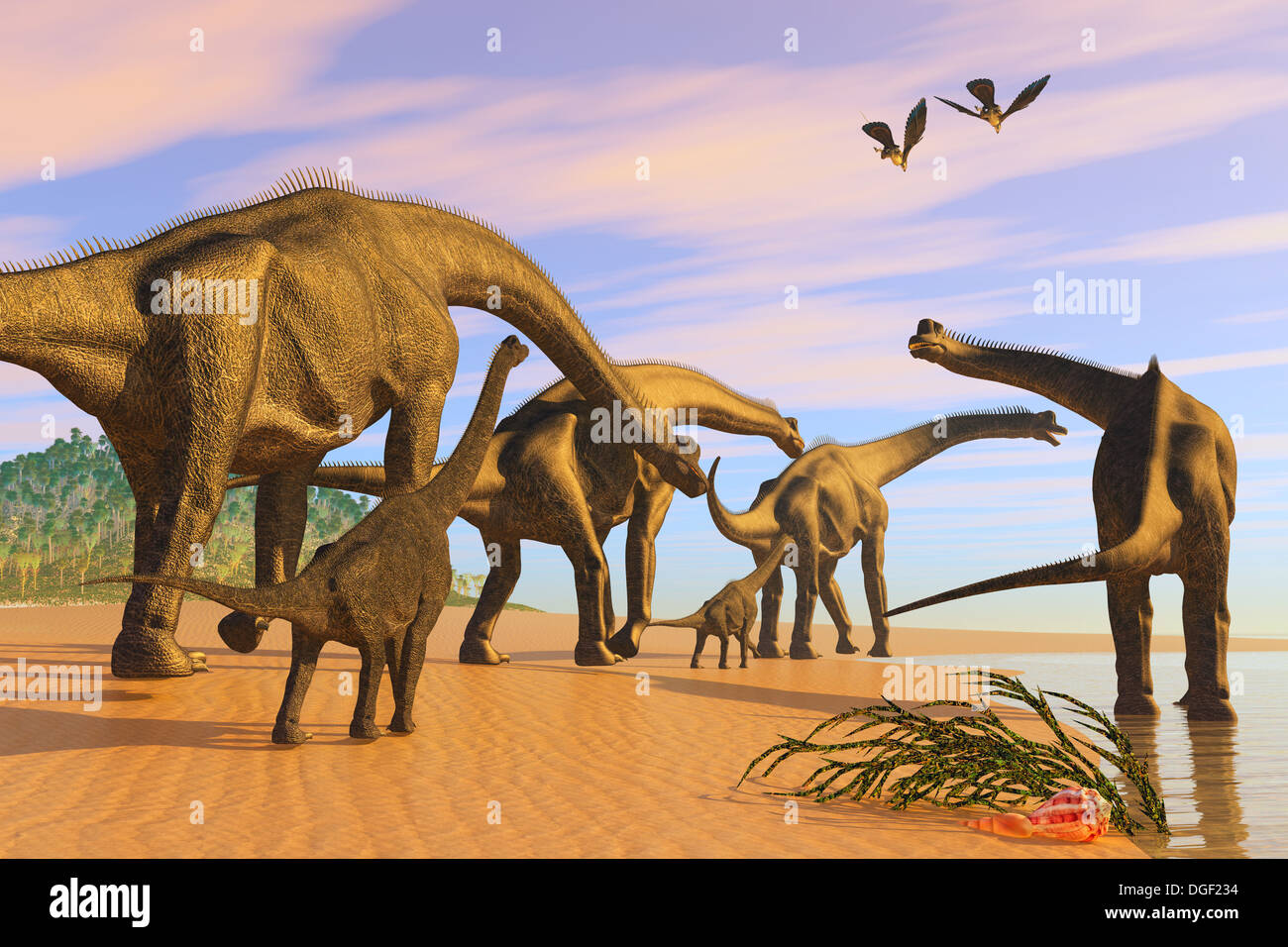 A Brachiosaurus herd walks down a wet sandy beach in search of vegetation to eat. Stock Photo